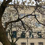 Maison Deco - Timeless Elegance Lucca
