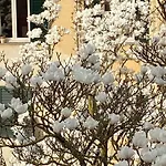 Maison Deco - Timeless Elegance * لوكا