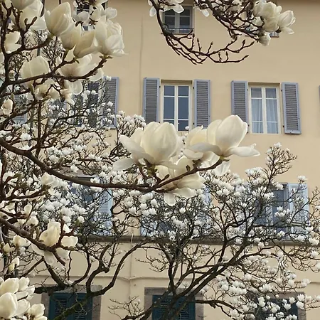 Maison Deco - Timeless Elegance Apartment Lucca