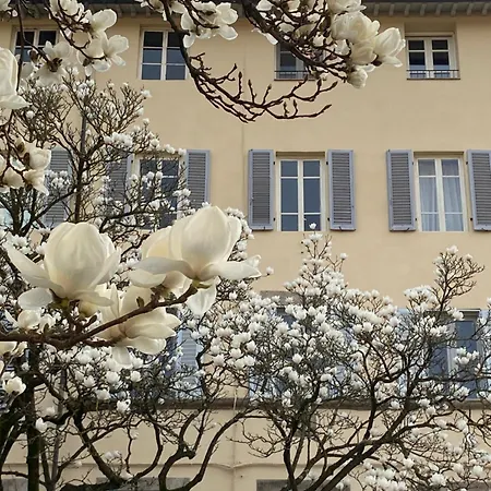 Maison Deco - Timeless Elegance Διαμέρισμα Λούκα